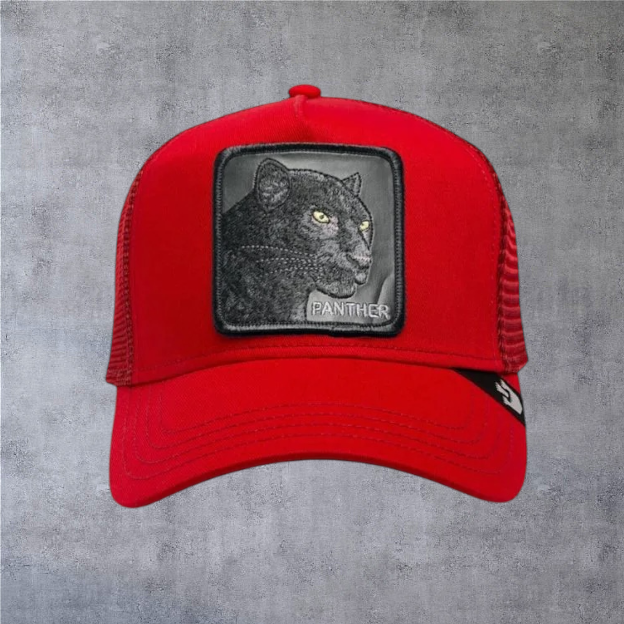 Gorra Goorin Bros The Panther