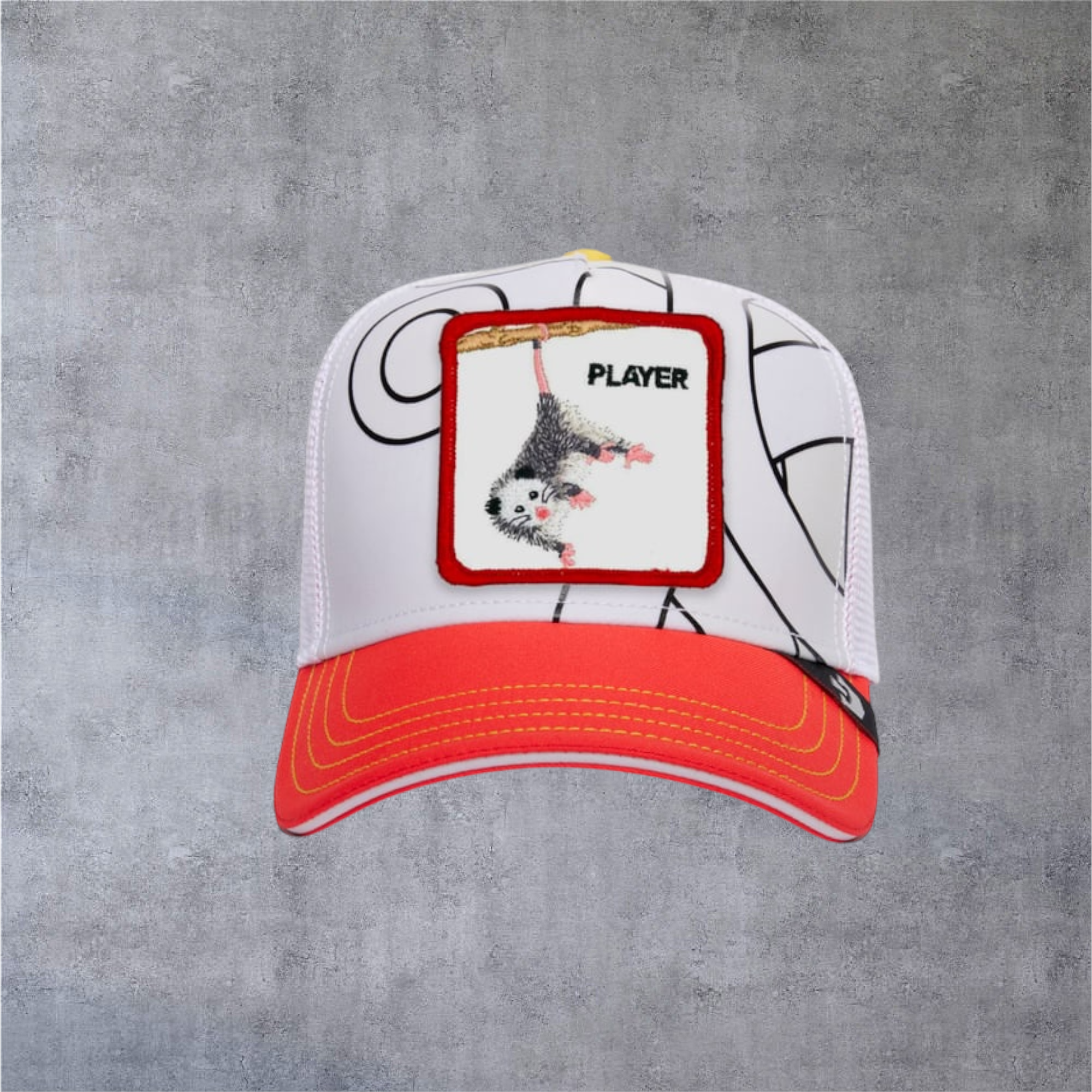 IMG-1669.png