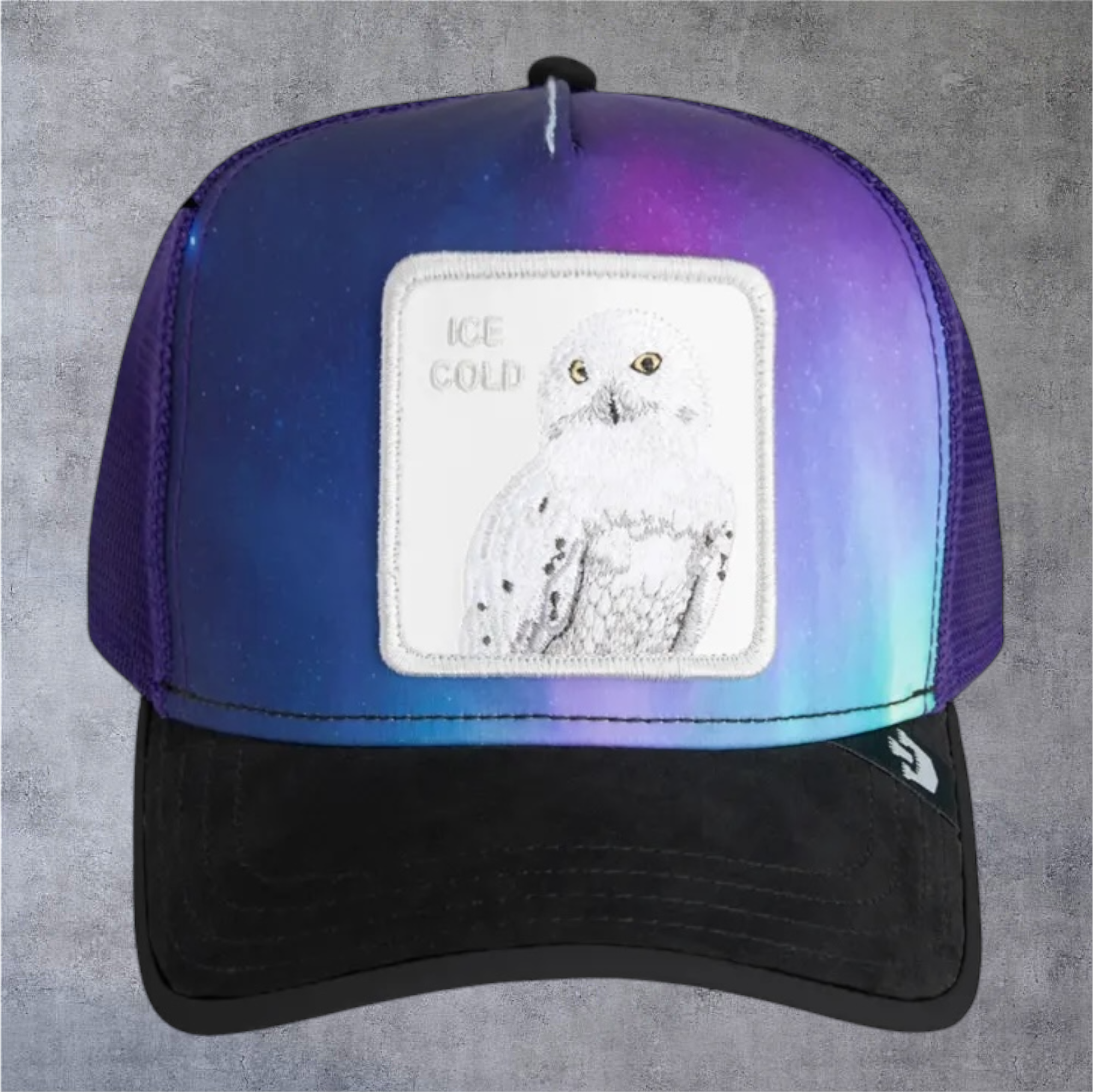 IMG-2432.png