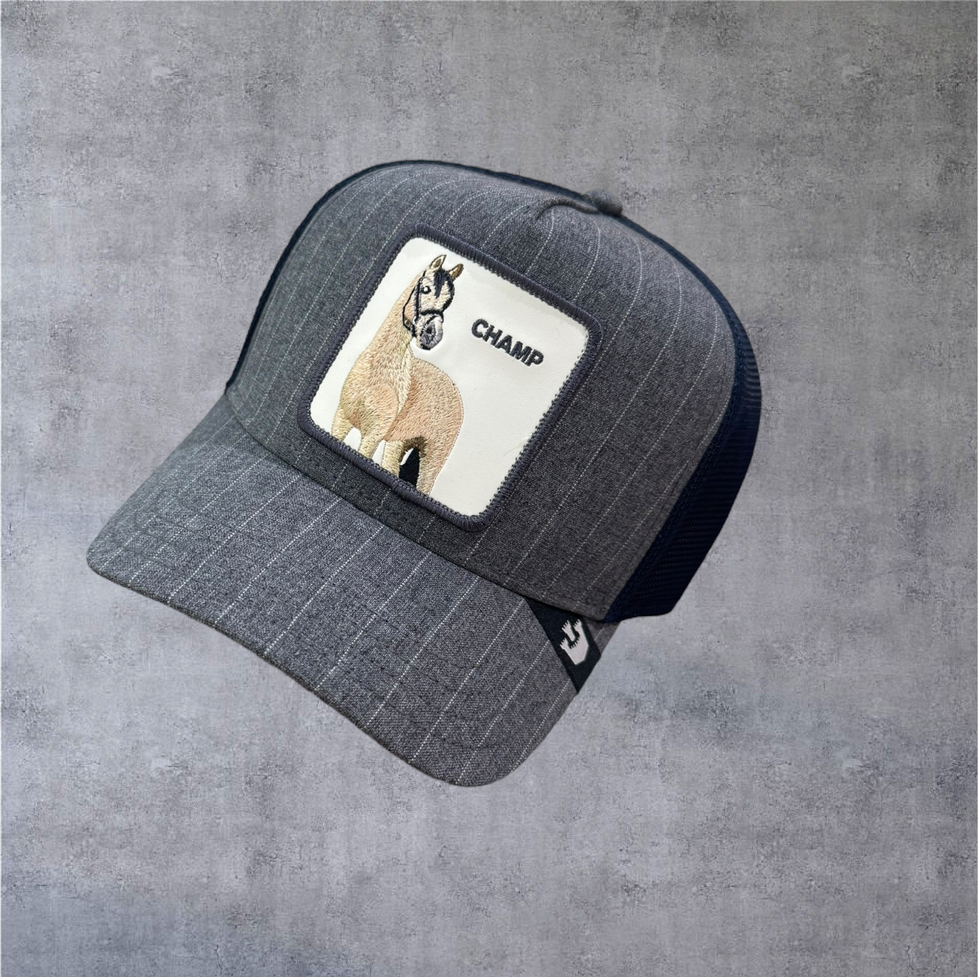 Gorra Goorin Champ