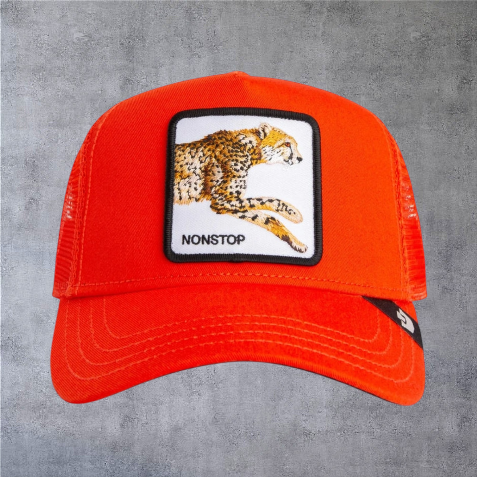 IMG-5014.png