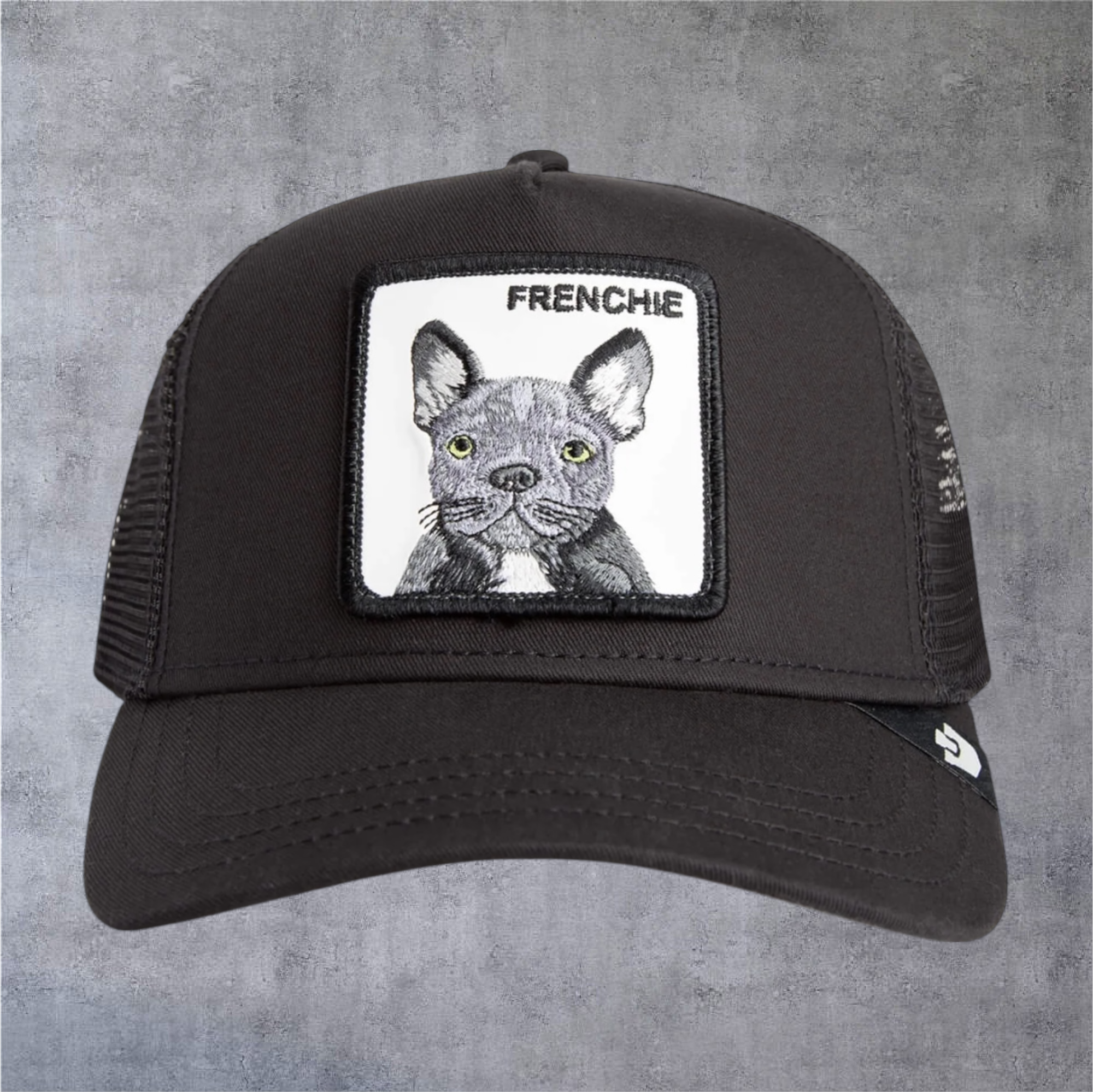 IMG-5017.png