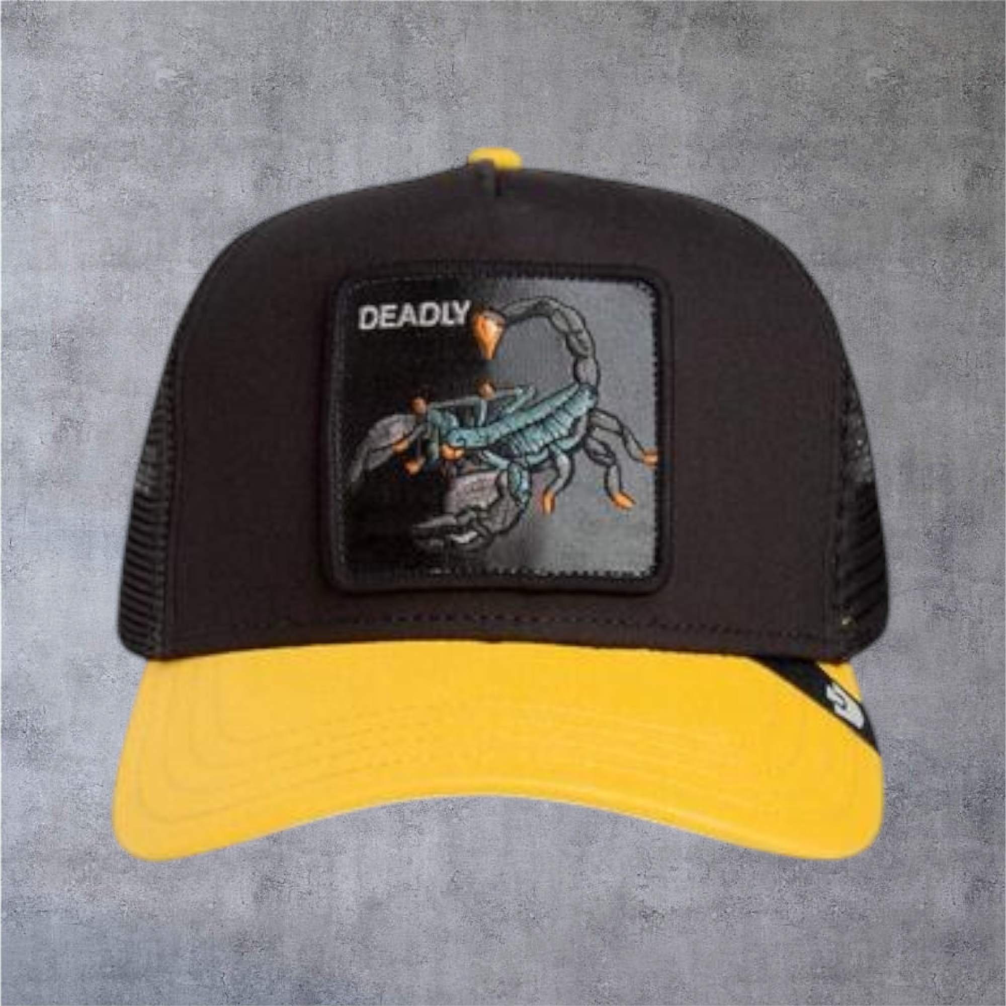 IMG-5019.png