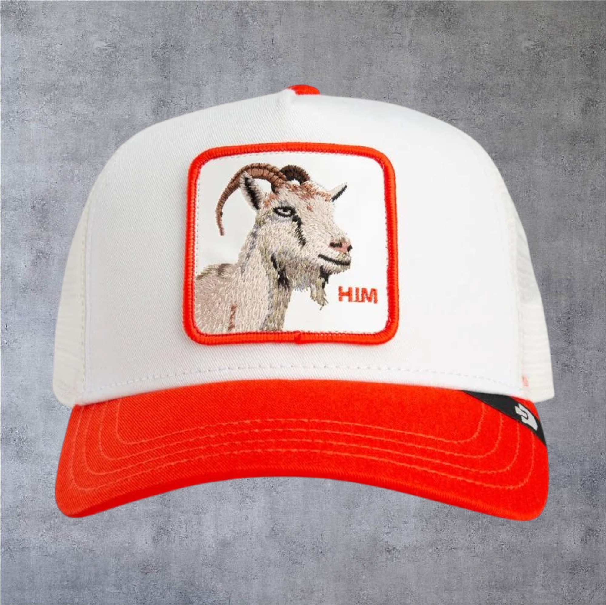 IMG-5024.png