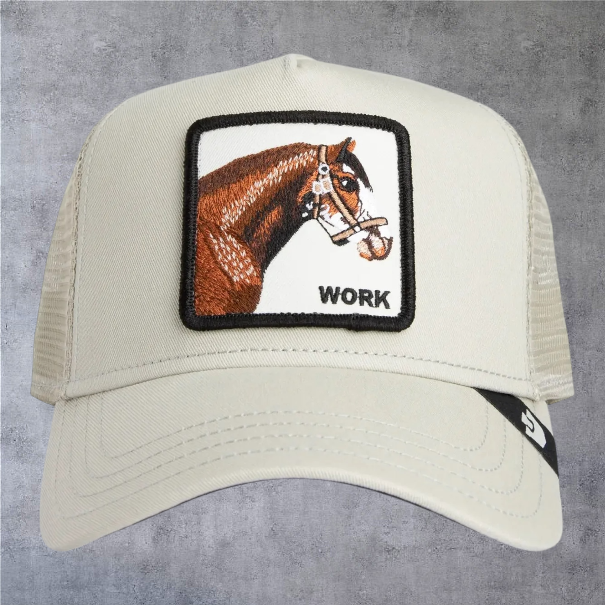 IMG-5026.png