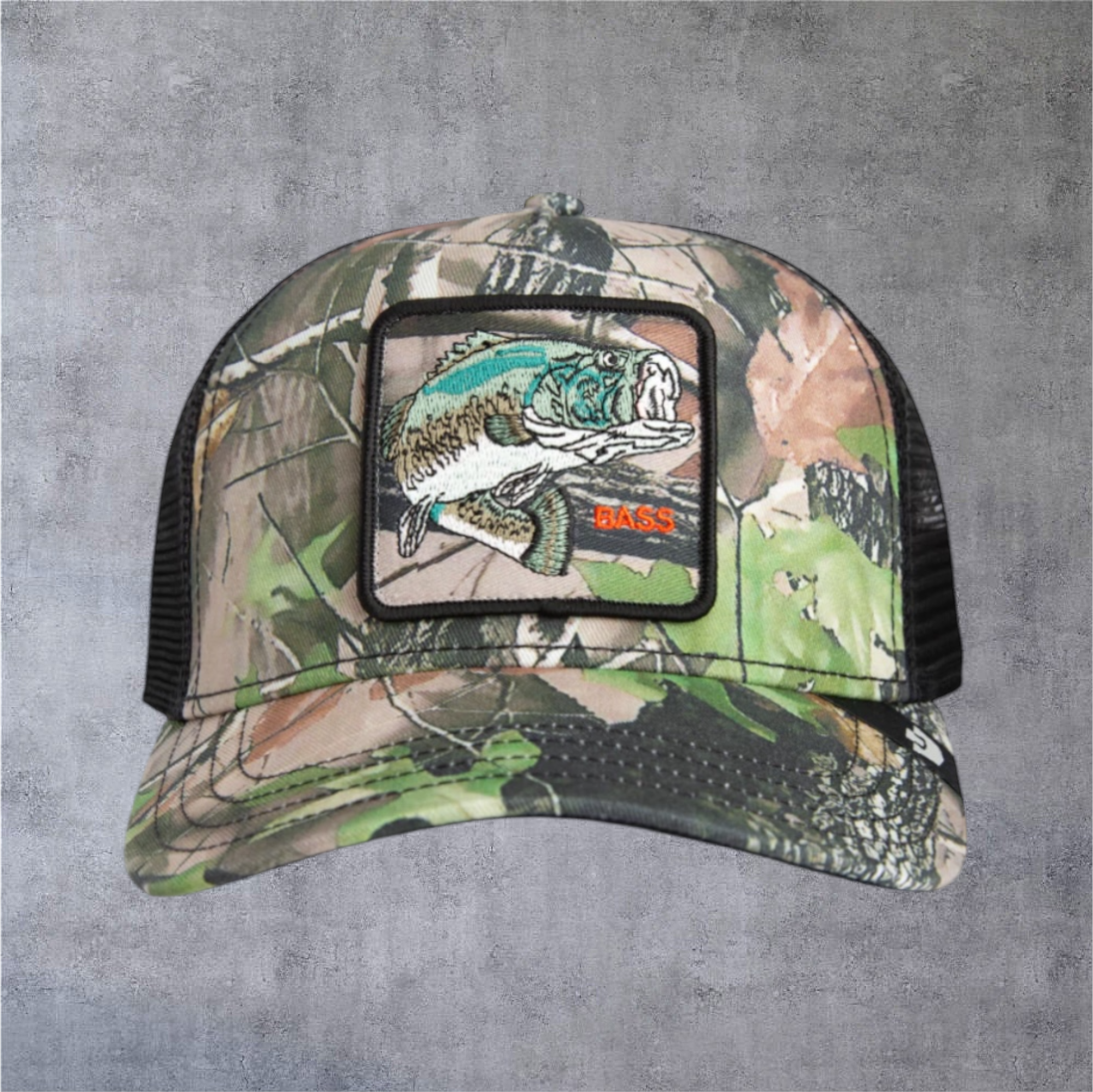 IMG-5046.png