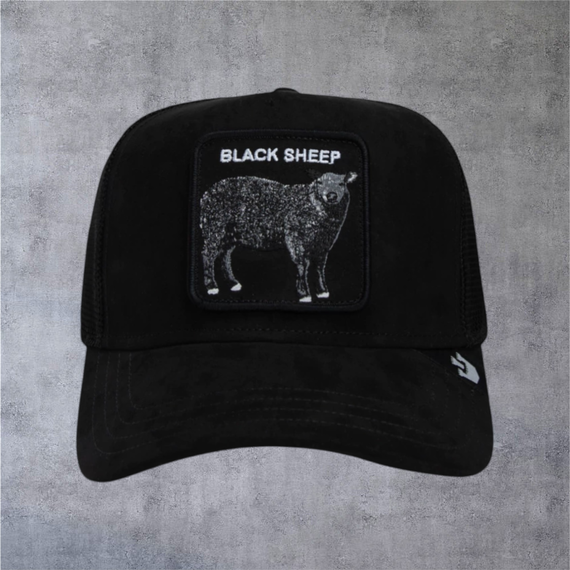 IMG-5050.png