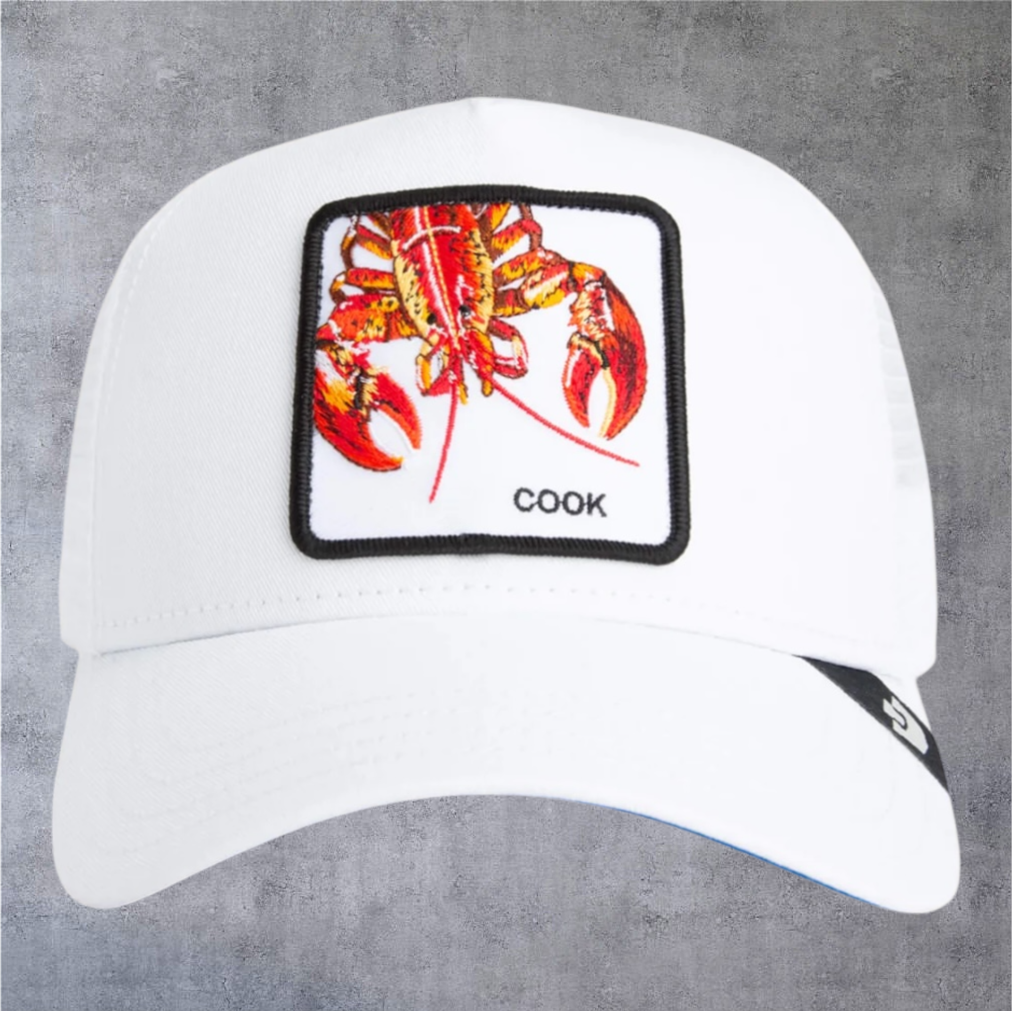 Gorra Goorin Cook