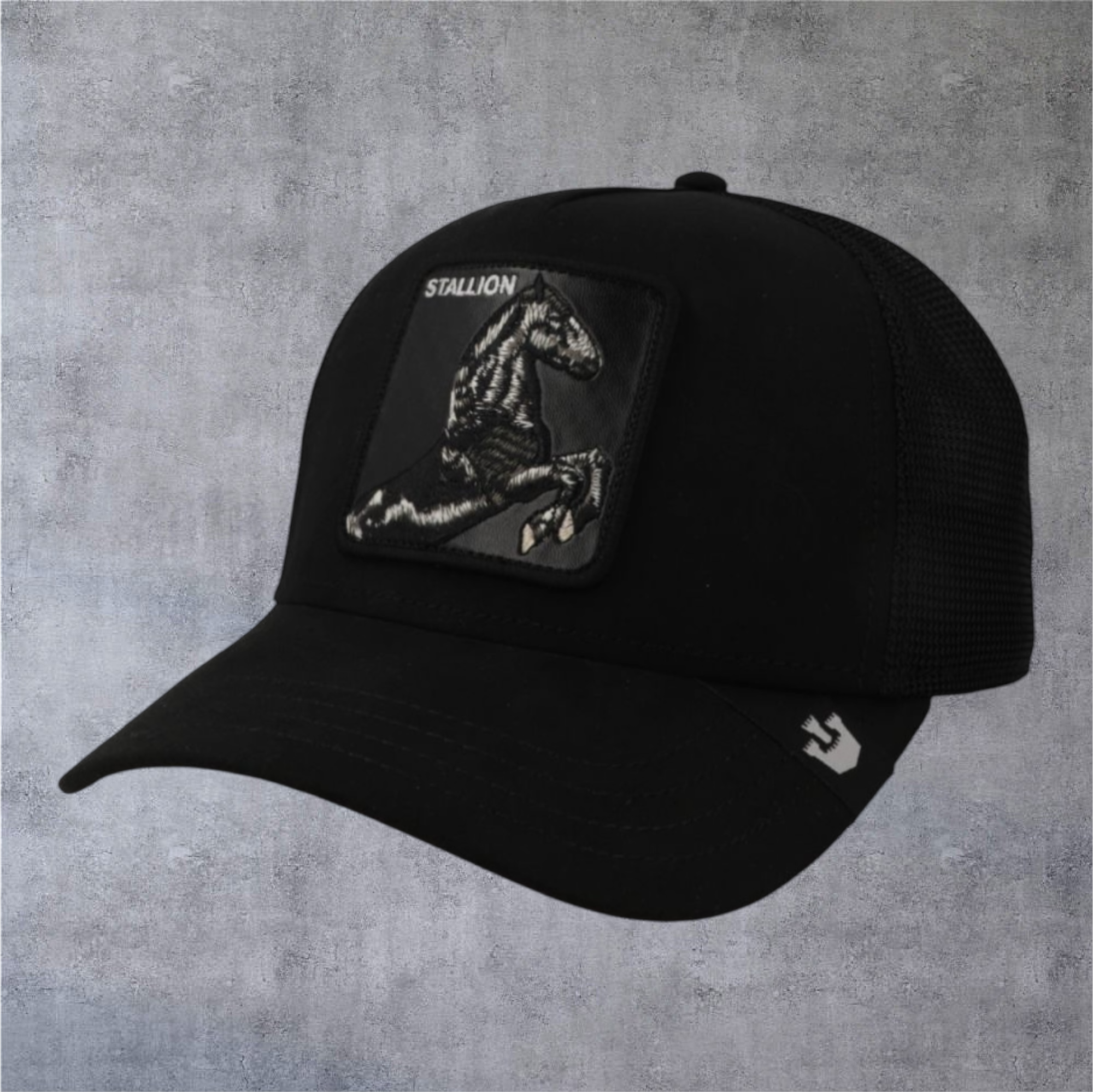 IMG-5062.png