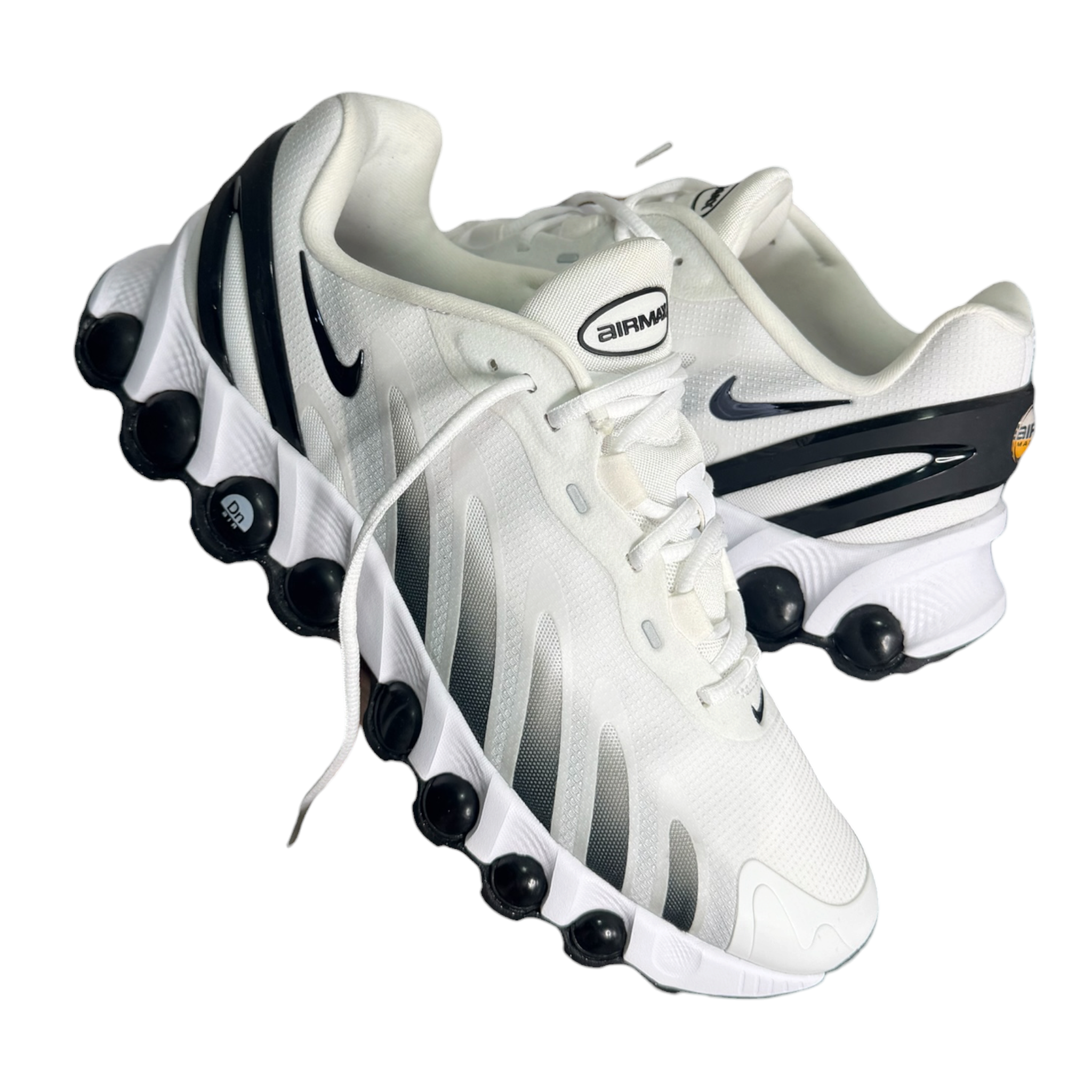 IMG-8785.png