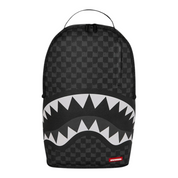 Sprayground bag